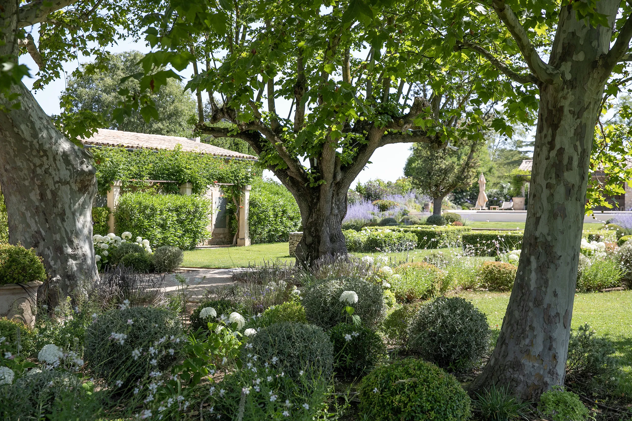 Galerie d'image Jardin Mas Provençal