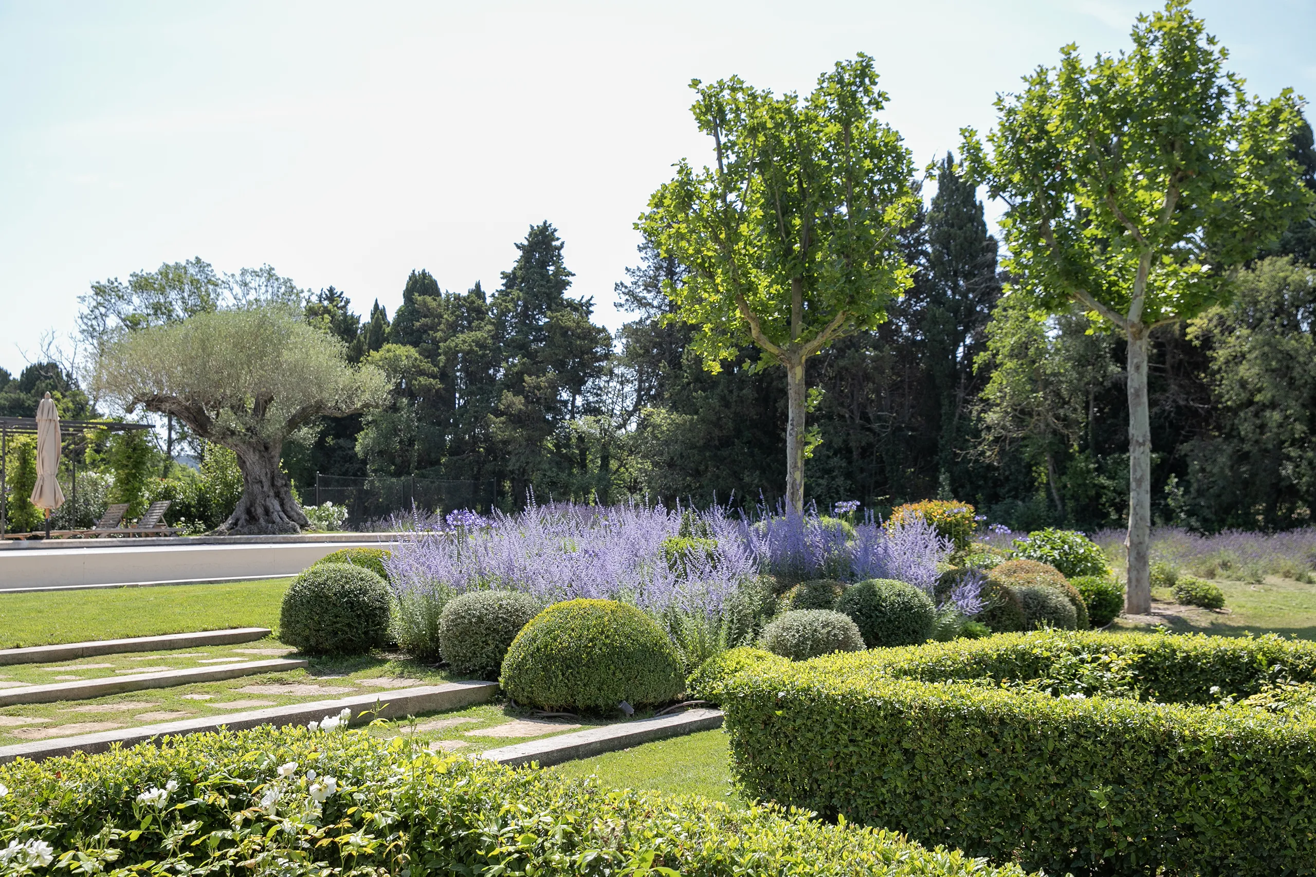 Galerie d'image Jardin Mas Provençal