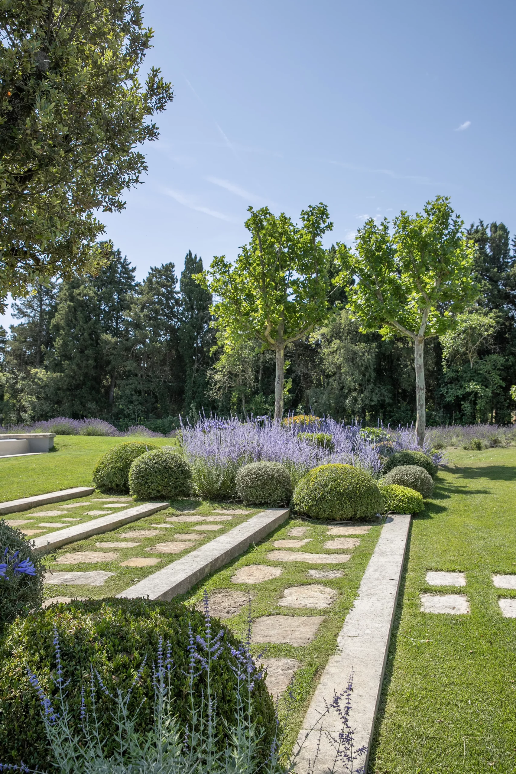 Galerie d'image Jardin Mas Provençal