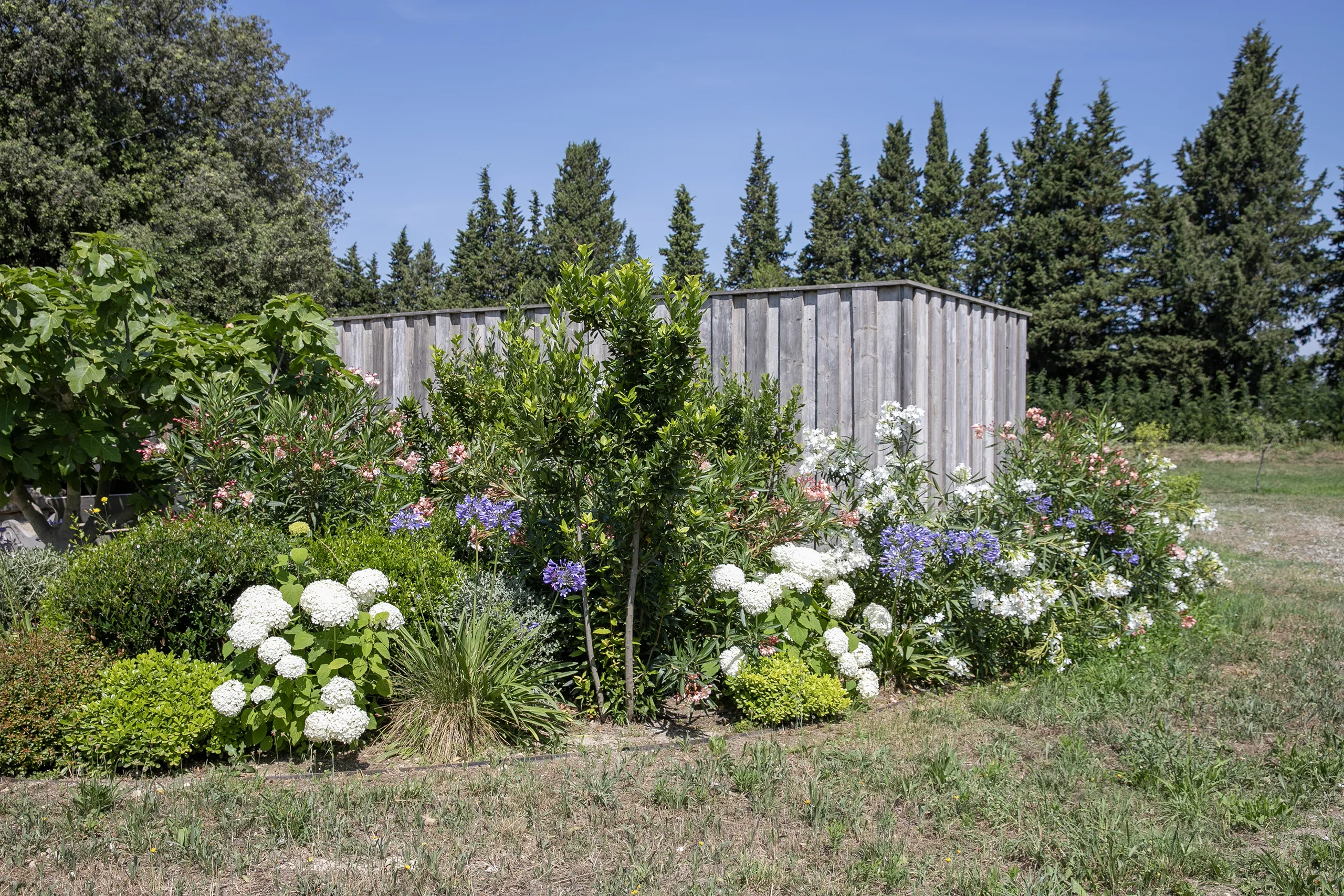 Galerie d'image Jardin Mas Provençal