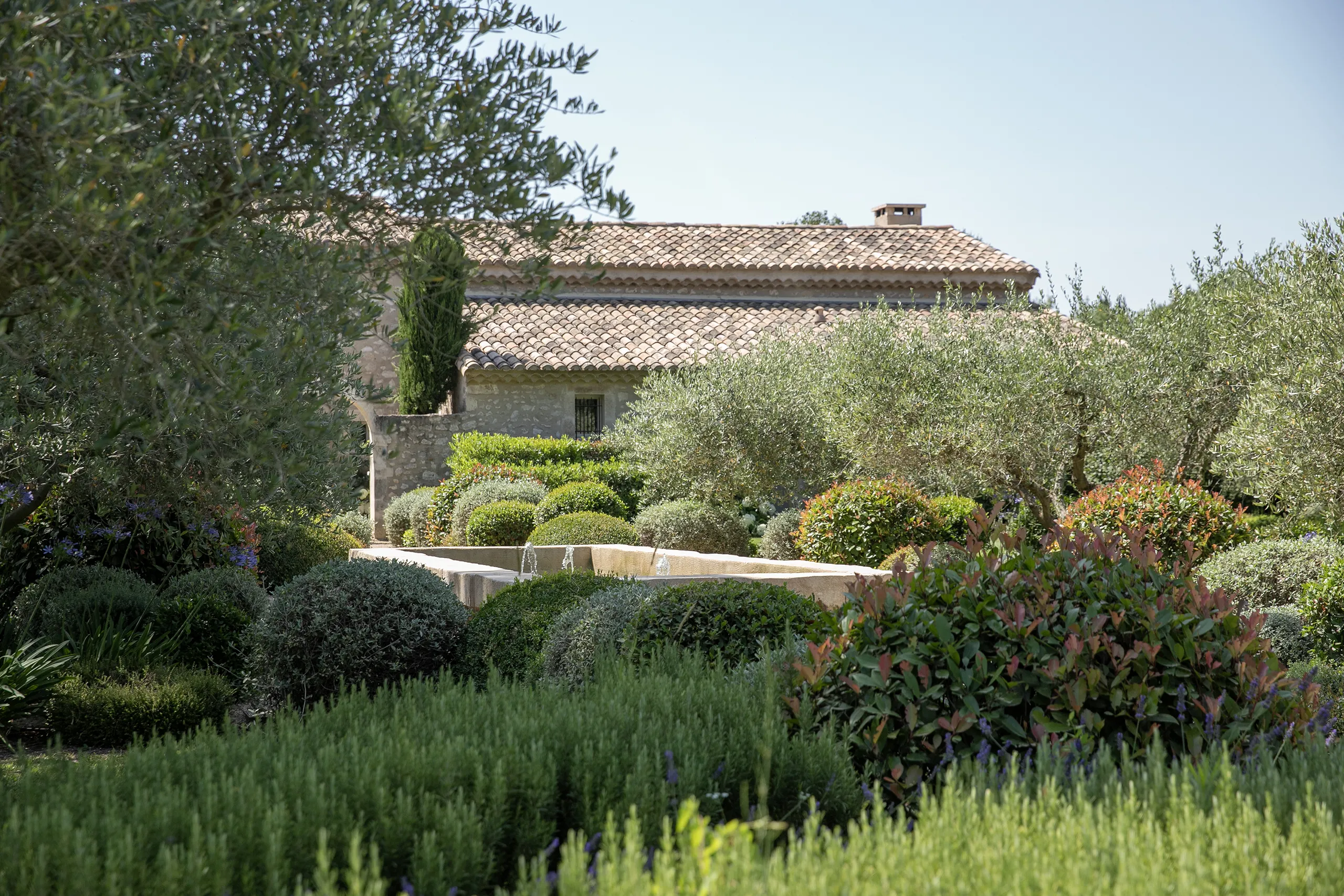 Galerie d'image Jardin Mas Provençal