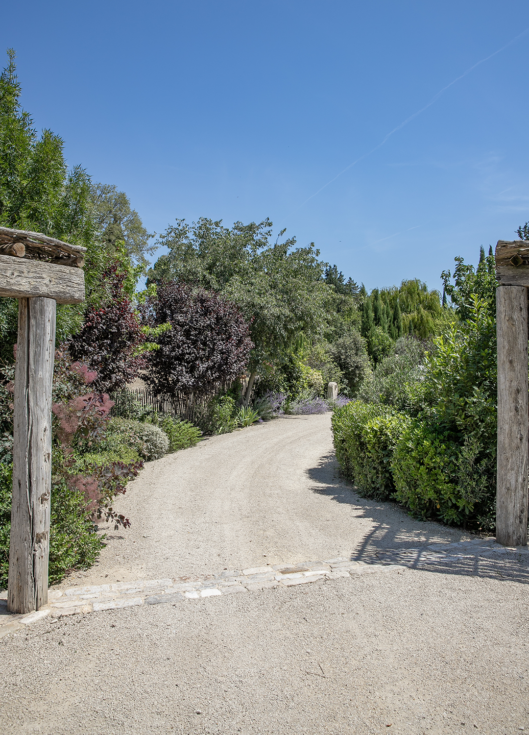 Pépinière Provence Jardin Alpilles Luberon